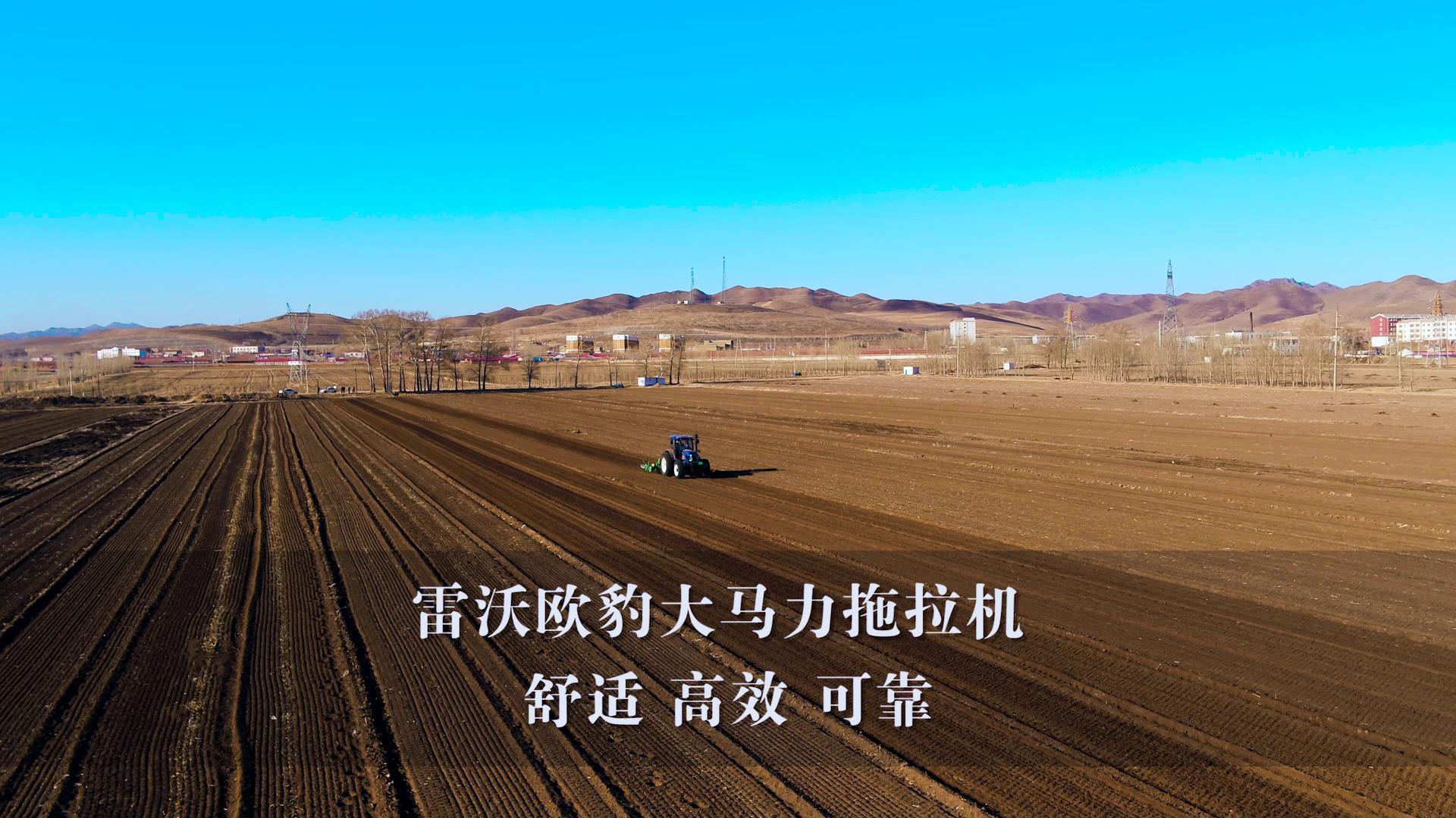 类型图片