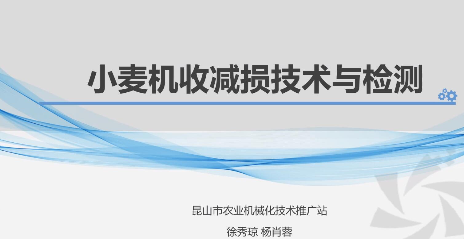 类型图片