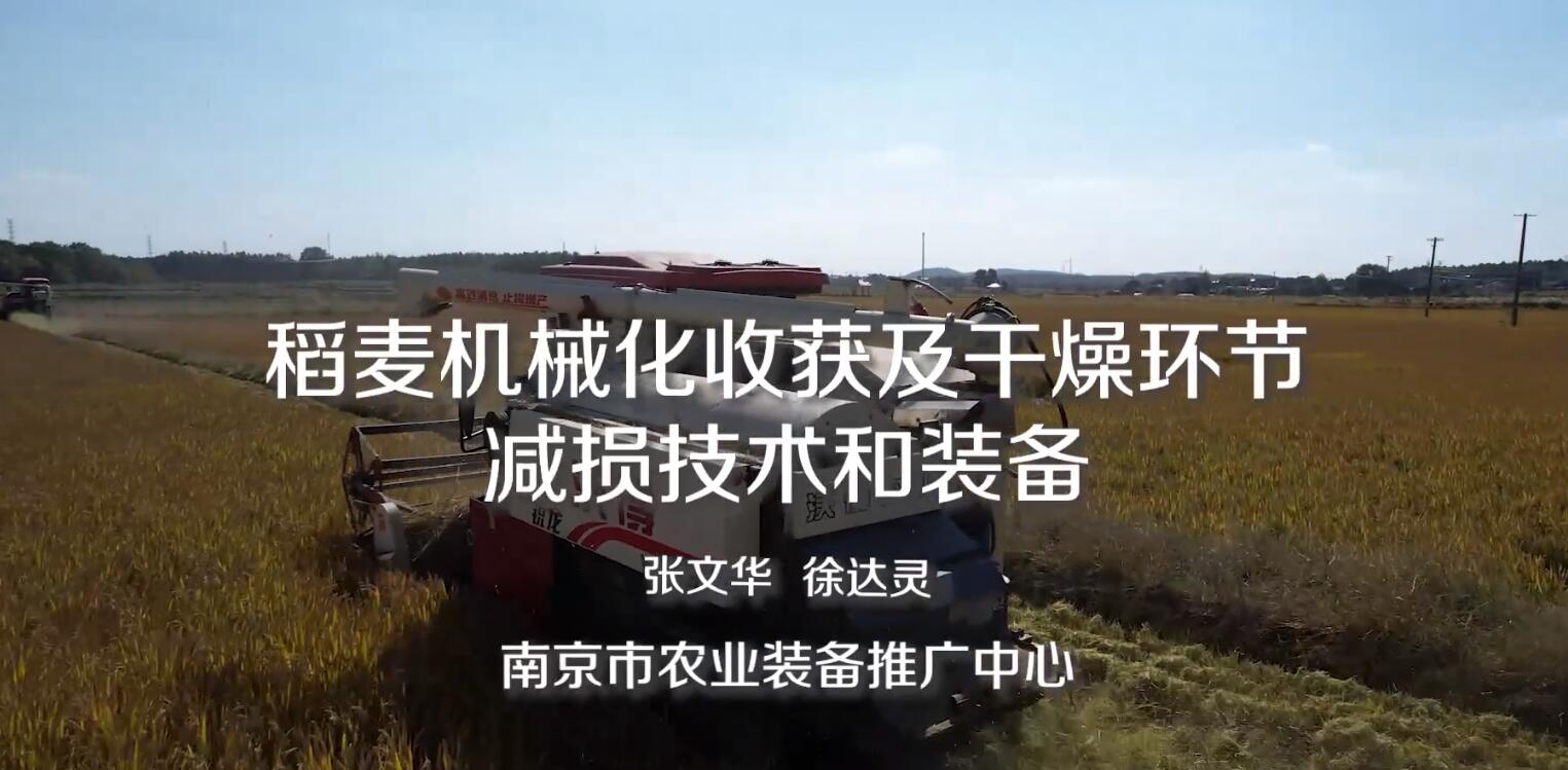 类型图片