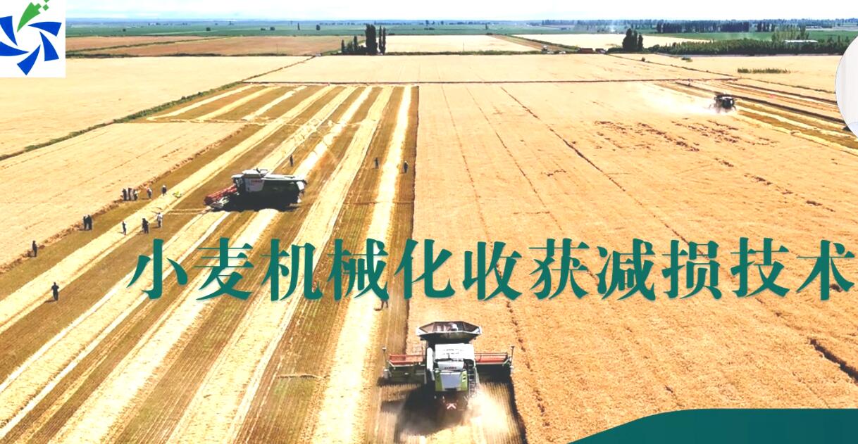 类型图片
