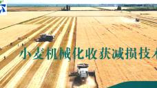 小麦机械化收获减损技术