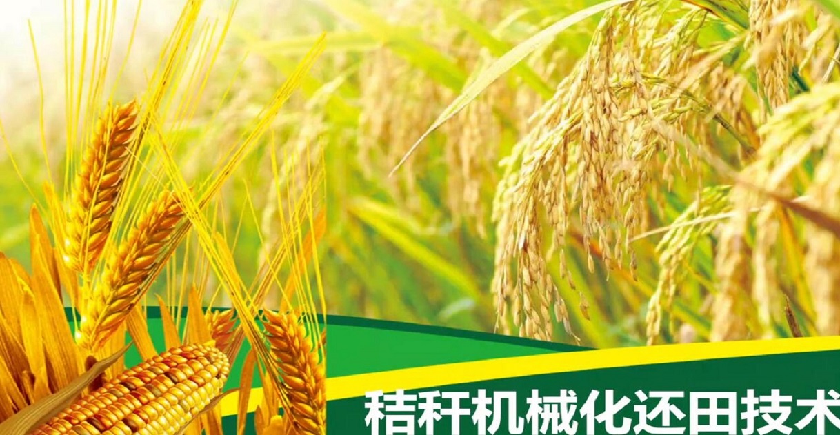 类型图片