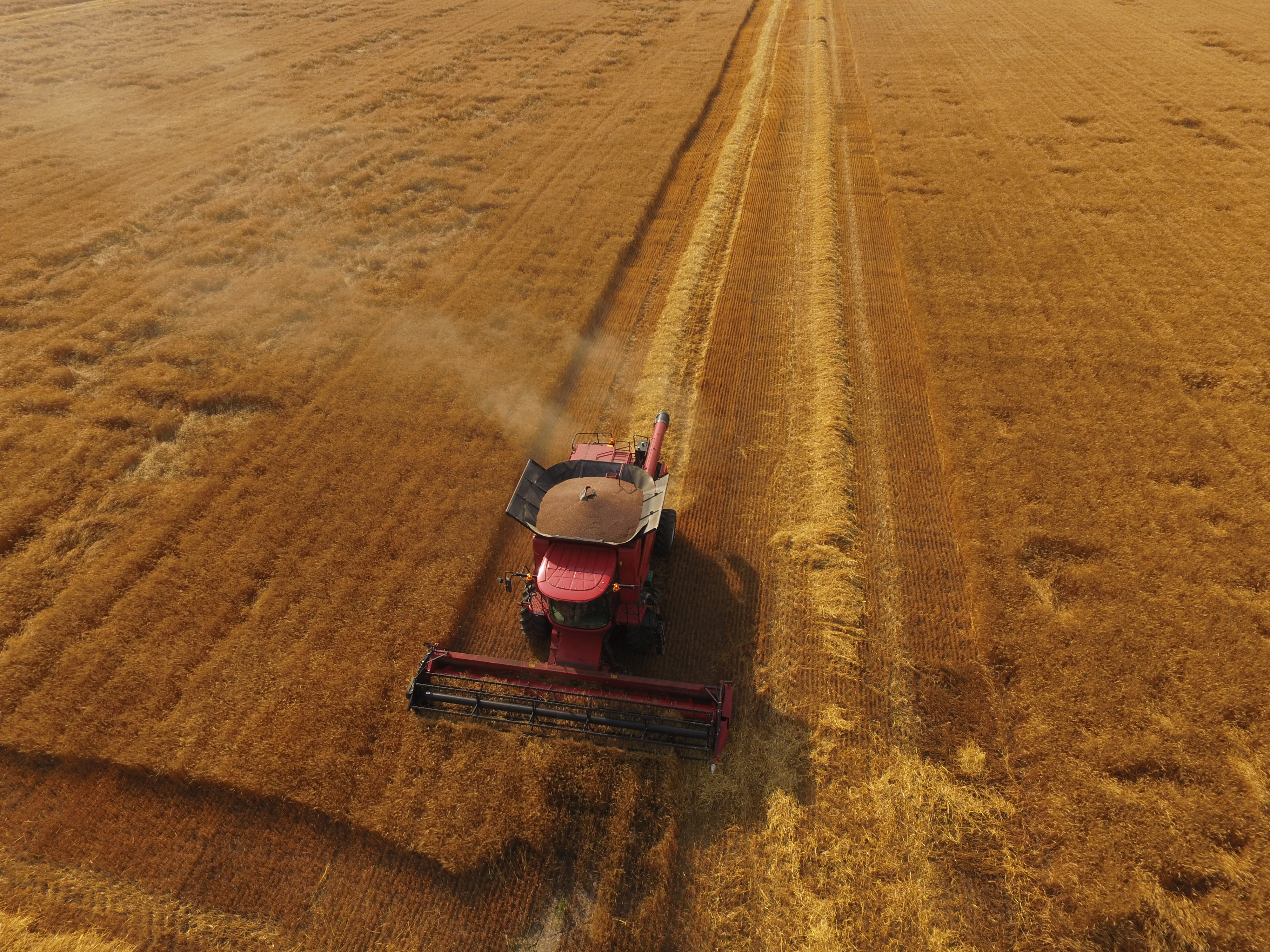 林甸县合胜现代农机专业合作社